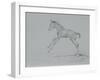 Foal Sketch-Michael Jackson-Framed Giclee Print