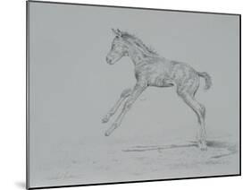 Foal Sketch-Michael Jackson-Mounted Giclee Print