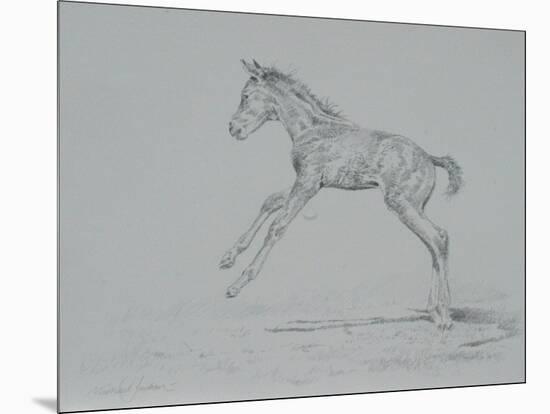 Foal Sketch-Michael Jackson-Mounted Giclee Print