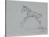 Foal Sketch-Michael Jackson-Stretched Canvas