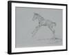 Foal Sketch-Michael Jackson-Framed Giclee Print