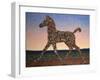 Foal Spirit-James W. Johnson-Framed Giclee Print