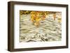 Foam and Dead Leaves in Motion on Water Surface of a Pool, Plitvice National Park, Croatia, October-Biancarelli-Framed Photographic Print