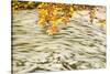 Foam and Dead Leaves in Motion on Water Surface of a Pool, Plitvice National Park, Croatia, October-Biancarelli-Stretched Canvas