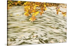 Foam and Dead Leaves in Motion on Water Surface of a Pool, Plitvice National Park, Croatia, October-Biancarelli-Stretched Canvas