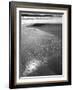 Foam on Sand, Porbandar-null-Framed Photographic Print