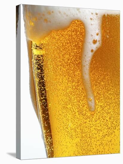 Foam Pouring over Edge of Glass of Light Beer-Brenda Spaude-Stretched Canvas