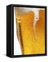 Foam Pouring over Edge of Glass of Light Beer-Brenda Spaude-Framed Stretched Canvas