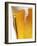 Foam Pouring over Edge of Glass of Light Beer-Brenda Spaude-Framed Photographic Print