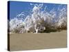 Foam Splashing on the Beach-null-Stretched Canvas