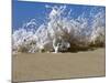 Foam Splashing on the Beach-null-Mounted Photographic Print