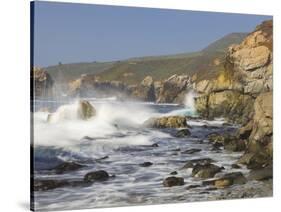 Foam Thrown in Air When Hitting Rocks, Garrapata State Park, Entrance No.7, California, USA-Tom Norring-Stretched Canvas