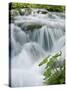 Foaming Cascades, Plitvice Lakes National Park (Plitvicka Jezera), Lika-Senj County, Croatia-Ruth Tomlinson-Stretched Canvas