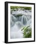 Foaming Cascades, Plitvice Lakes National Park (Plitvicka Jezera), Lika-Senj County, Croatia-Ruth Tomlinson-Framed Photographic Print