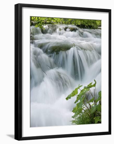 Foaming Cascades, Plitvice Lakes National Park (Plitvicka Jezera), Lika-Senj County, Croatia-Ruth Tomlinson-Framed Photographic Print