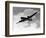 Focke-Wulfe Fw 200 Condor in Flight-null-Framed Photographic Print