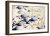 Focus on the Good-Susan Bryant-Framed Art Print