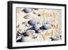 Focus on the Good-Susan Bryant-Framed Art Print