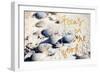 Focus on the Good-Susan Bryant-Framed Art Print