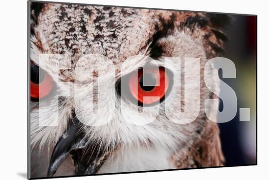 Focus-null-Mounted Poster