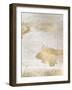 Focus-Denise Brown-Framed Art Print