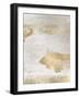 Focus-Denise Brown-Framed Art Print