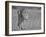 Focused Predator-Jaco Marx-Framed Photographic Print