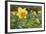 Focusing on Spring-Adrian Campfield-Framed Photographic Print