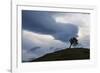 Foehn Mood in Canton of Grisons-Armin Mathis-Framed Photographic Print