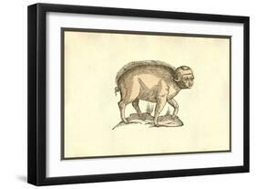 Foetus Suinus Humano Vultu-Ulisse Aldrovandi-Framed Art Print