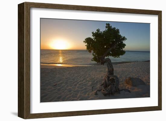 Fofoti Divi Tree at Sunset Aruba-George Oze-Framed Photographic Print