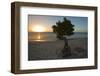 Fofoti Divi Tree at Sunset Aruba-George Oze-Framed Photographic Print