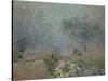 Fog, 1874-Alfred Sisley-Stretched Canvas