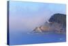 Fog Adds Beauty to Heceta Head Lighthouse, Oregon Coast, Pacific Ocean-Craig Tuttle-Stretched Canvas