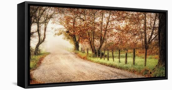 Fog Ahead-D^ Burt-Framed Stretched Canvas