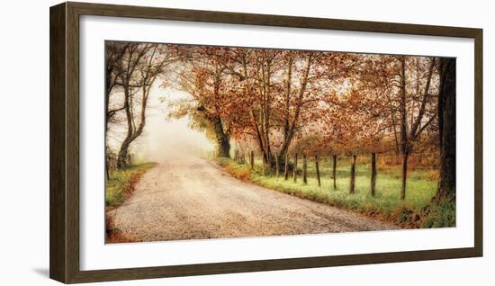 Fog Ahead-D^ Burt-Framed Photographic Print