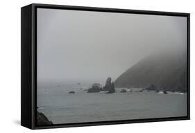 Fog Along the Pacific Coast-Carol Highsmith-Framed Stretched Canvas