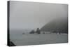 Fog Along the Pacific Coast-Carol Highsmith-Stretched Canvas