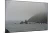 Fog Along the Pacific Coast-Carol Highsmith-Mounted Photo