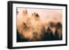 Fog Among The Trees Mount Tamalpais, Marin County, San Francisco-Vincent James-Framed Photographic Print