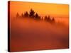 Fog and Clouds Over a Forest-Janis Miglavs-Stretched Canvas