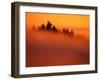 Fog and Clouds Over a Forest-Janis Miglavs-Framed Photographic Print