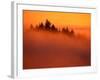 Fog and Clouds Over a Forest-Janis Miglavs-Framed Photographic Print