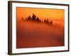 Fog and Clouds Over a Forest-Janis Miglavs-Framed Photographic Print