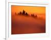 Fog and Clouds Over a Forest-Janis Miglavs-Framed Photographic Print