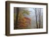 Fog and Fall Foliage, Smoky Mountains National Park, Tennessee, USA-Joanne Wells-Framed Photographic Print