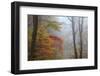 Fog and Fall Foliage, Smoky Mountains National Park, Tennessee, USA-Joanne Wells-Framed Photographic Print