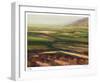 Fog and Fields-Carl Stieger-Framed Limited Edition