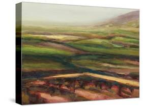 Fog and Fields-Carl Stieger-Stretched Canvas