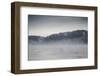 Fog and Forest-Kim Curinga-Framed Photographic Print